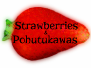 Strawberries & Pohutukawas: Kiwi Crafts